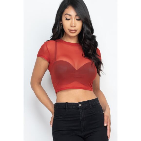 HackleBee | Rust Sexy Mesh Sheer Short Sleeve Crop Top Size S, M, L - Picture 1 of 3